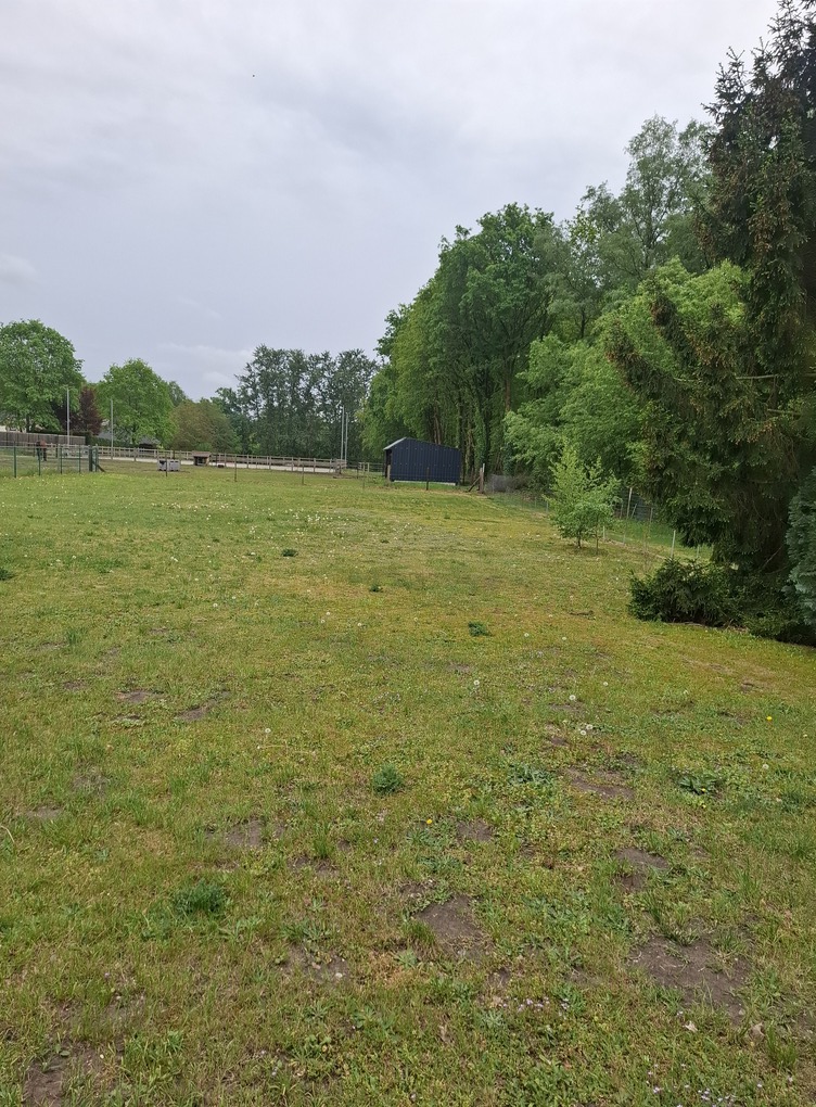 Huis te koop in Helchteren