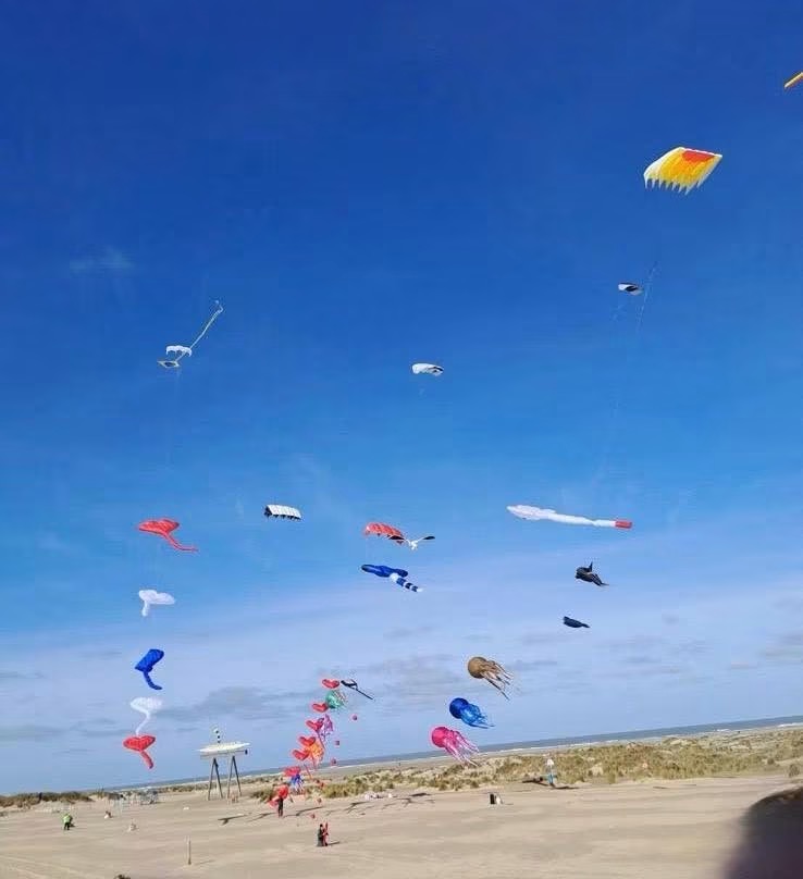 Gerenoveerd appartement in de strandwijk, frontaal zeezicht