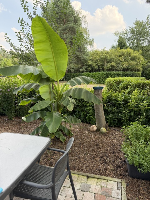 Luxe vakantiewoning / stacaravan – GT Keiheuvel Balen