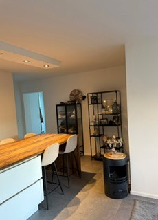 Riant mooi gerenoveerd dakappartement